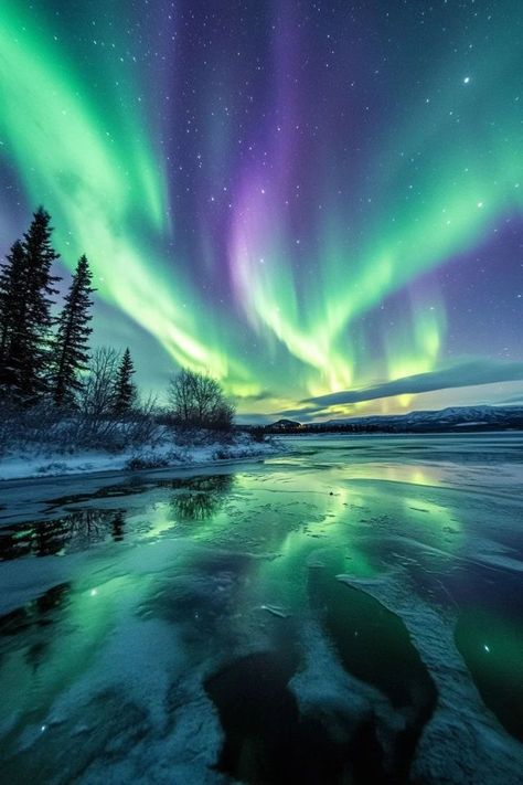 "Chase the ethereal glow of the Northern Lights in the world’s most stunning locations! 🌌✨ Perfect for a magical escape. #AuroraWonders #NorthernLightsTravelInspiration #NatureBeauty" The Northern Lights, Aurora Borealis, Natural Wonders, Nature Beauty, Places To See, The Good Place, Northern Lights, Wonder, The World