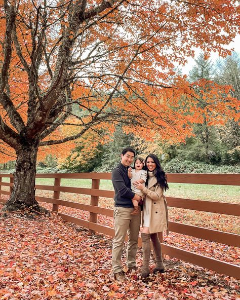 Fall Family Photos at Rockwood Farm | Just A Tina Bit Fall Mini Shoot, Romantic Series, Tree Lined Driveway, Fall Family Photo Outfits, Going To Rain, Capture Photo, Fall Mini, Colorful Trees, Fall Family Photos