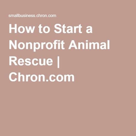 Animal Rescue Ideas, Start A Non Profit, Farm Sanctuary, Cat Sanctuary, Cat Cafe, Medical Help, Animal Sanctuary, Dog Boarding, Advertising Agency