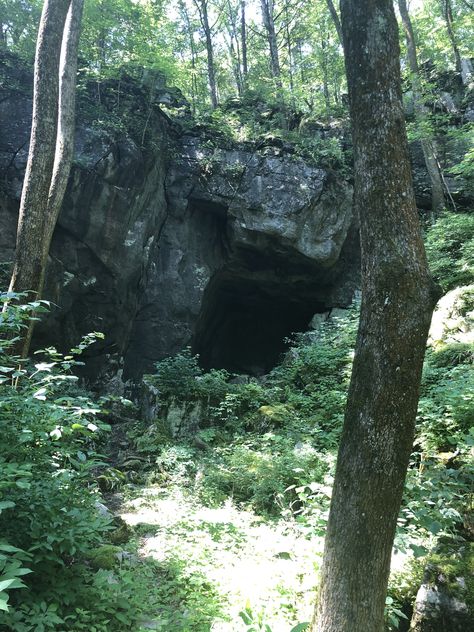 Cave In The Woods, Fantasy Cave Entrance, Cave In Forest, River Enchanted, Mossy Cave, Merida Aesthetic, Forest Cave, Cave Aesthetic, Nature Castle