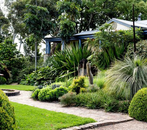 Australian Garden Design, House Entry, Bush Garden, Grass Tree, Australian Native Garden, Australian Garden, Australian Native Plants, Modern Garden Design, Coastal Gardens