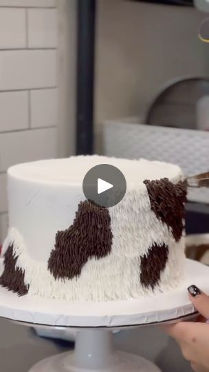 How To Make A Cow Print Cake, Cow Shag Cake, Fair Cake Decorating Ideas, Western Cake Designs, Brown Cow Print Cake, 4-h Cake Decorating Ideas, Brown Cow Cake, Western Sheet Cake, Fluffy Cow Cake