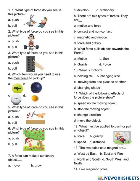 Force and Motion Quiz Forces And Motion 3rd Grade Worksheets, Force Worksheet For Grade 3, Force And Motion Activities 2nd Grade, Force And Motion Experiments, Science Worksheets For Grade 1, Grade 3 Science Worksheets, Force And Motion Worksheets, Force Worksheet, Science Force And Motion