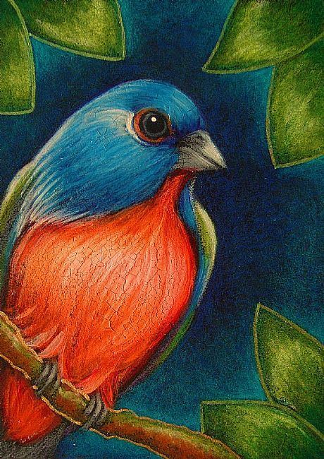 Bird Art Painting, Pencil Colour Painting, Bunting Bird, Bird Paintings On Canvas, Painted Bunting, Soft Pastel Art, Crackle Painting, Oil Pastel Paintings, Flower Painting Canvas