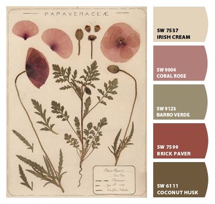 Color Scheme With Burgundy, Irish Cream Sherwin Williams, Cottage Core Colors Pallet, Cottagecore Paint Palette, Dried Flowers Color Palette, Cottage Colors Palette, Cottagecore Wall Colors, Vintage Paint Colors Colour Palettes, Cottagecore Color Palette Sherwin Williams