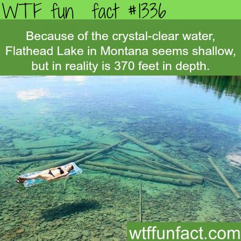 Crystal clear water - Flathead Lake, Montana MORE OF WTF FACTS are coming HERE places, movies  and fun facts Flathead Lake Montana, Lake Montana, Flathead Lake, Montana Usa, Kuantan, On The Road Again, Crystal Clear Water, Flat Head, The More You Know