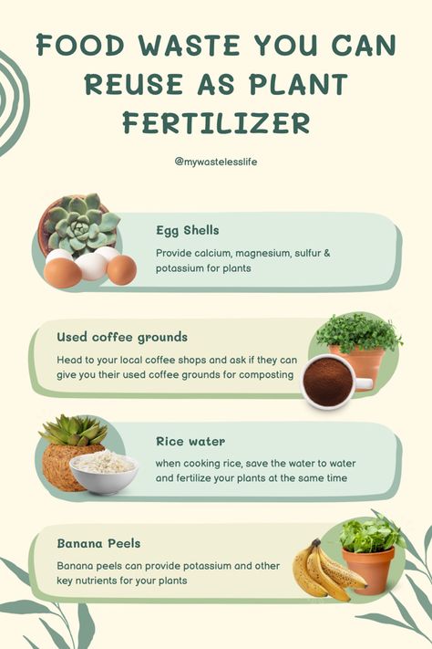 A chart of four food waste items you can use as plant food Fertilizers For Plants, Food For Plants, How To Make Fertilizer For Plants, Egg Shell Fertilizer For Plants, Home Fertilizer For Plants, Home Made Fertilizer For Plants, Diy Plant Fertilizer Houseplant, Diy Fertilizer For Plants, Diy Plant Fertilizer