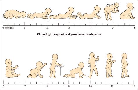 Development Milestones, Pediatric Physical Therapy, Pediatric Occupational Therapy, Motor Development, Pediatric Therapy, Developmental Milestones, Childhood Development, Baby Growth, Physical Development