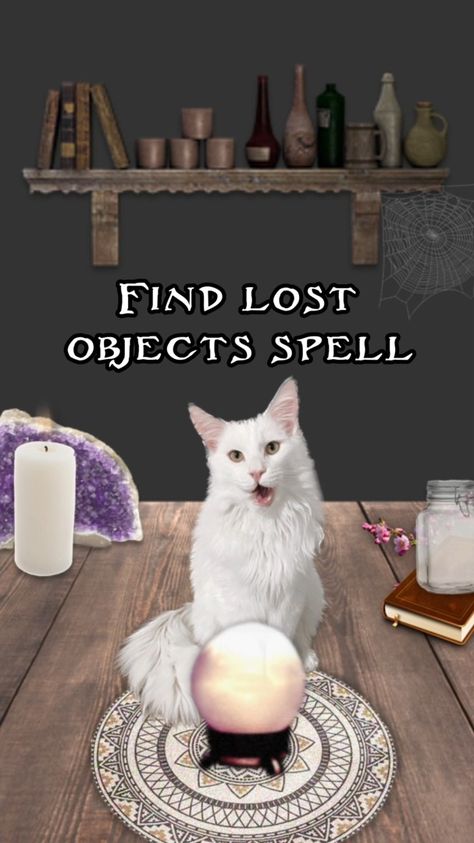 Find your lost objects with this spell cast by me and my cat Jack <3 #spells #spellbook #lostobjectspell #witch #magic #crystalball #amethyst #mainecoon #cat #spellcasting #youtube Physical Features, Cat & Jack, Domestic Cat, Maine Coon, Spell Book, Cat Breeds, Lost, Maine, It Cast