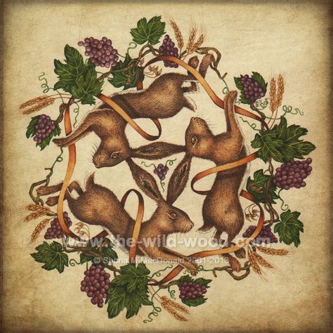 3 Hares, Leaping Hare Tattoo, Leaping Hare, Autumnal Equinox Celebration, Leaping Hare Illustration, Leaping Hare Photo, Autumnal Equinox, Pagan Art, Rabbit Art