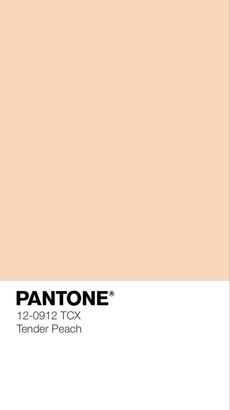 Pale Orange Walls, Light Orange Color Palette, Light Peach Bedroom, Pastel Orange Paint, Light Orange Paint, Peach Vibes, Peach Living Rooms, Peach Paint Colors, Pale Peach Color