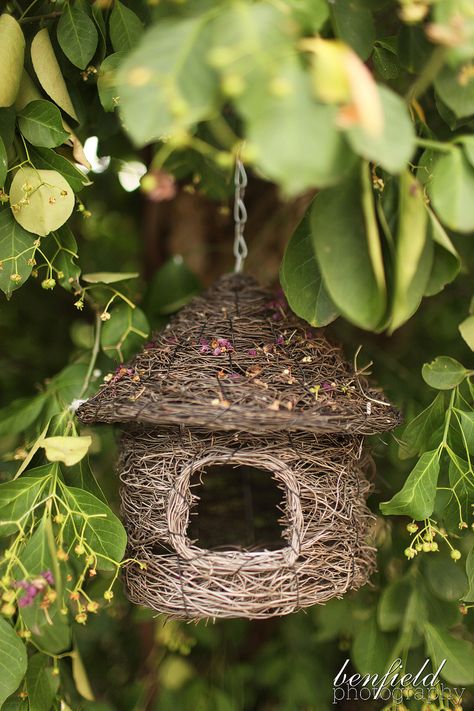 Garden Birdhouses, Bird House Feeder, Odaiba, Garden Path, Bird Cages, Kew Gardens, Garden Stuff, Big Bird, Bird Garden