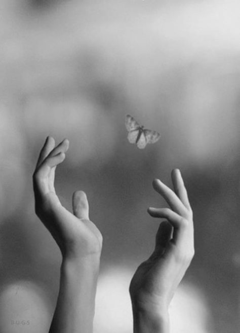 Free. Papillon Butterfly, Yoga Logo, Hand Photography, Hand Reference, The Poem, Eckhart Tolle, 인물 사진, A Butterfly, A Quote