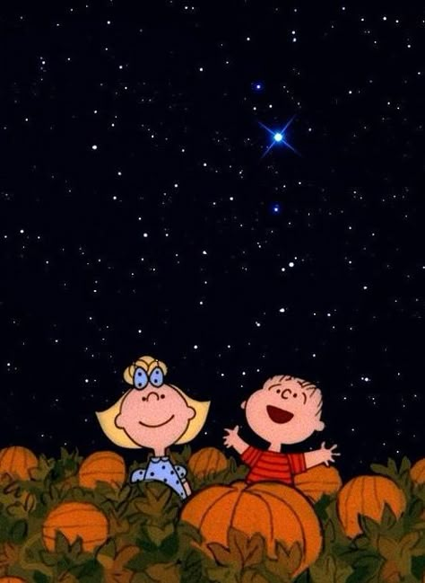 The Great Pumpkin Charlie Brown, Great Pumpkin Charlie Brown, Charlie Brown Halloween, It's The Great Pumpkin, Pumpkin Wallpaper, Peanuts Halloween, The Great Pumpkin, Snoopy Halloween, Great Pumpkin