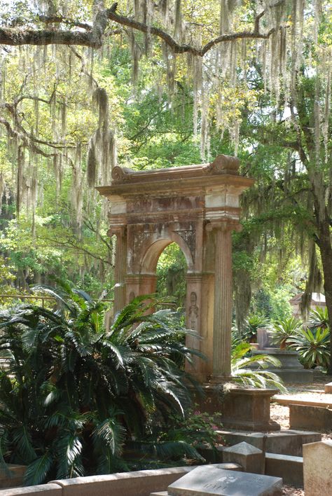 Savannah, Georgia -- one of the few places in the US I haven't been and wish to see. Savannah Georgia Trees, Savannah Architecture, Savanna Georgia, Best Spring Break Destinations, Moss Hanging, Savannah Gardens, Bonaventure Cemetery, Spring Break Destinations, Concrete Walls