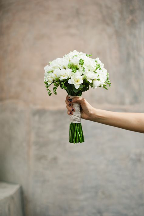 Petite White And Green Bouquet, Bridal Bouquet Civil Wedding, Bridal Bouquet Freesia, Wedding Bouquets Freesia, White Freesia Bouquet, Freesia Flower Bouquet, Fresia Bouquet Wedding, Small White Wedding Bouquets, Simple White Bridal Bouquet