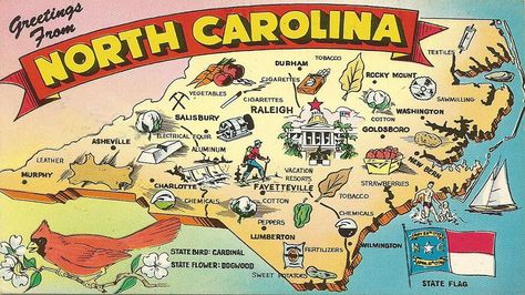 48 Signs You're From North Carolina 47. Would be good tattoo quote with dogwood Nc Map, State Flowers, North Carolina Art, North Carolina Map, Good Tattoo Quotes, Southern Life, North Carolina Homes, Altered Bottles, Nc State