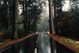 Photo Wet Road, In The Rain, Beautiful World, The Rain, In The Middle, Wonders Of The World, The Great Outdoors, The Middle, Adventure Travel