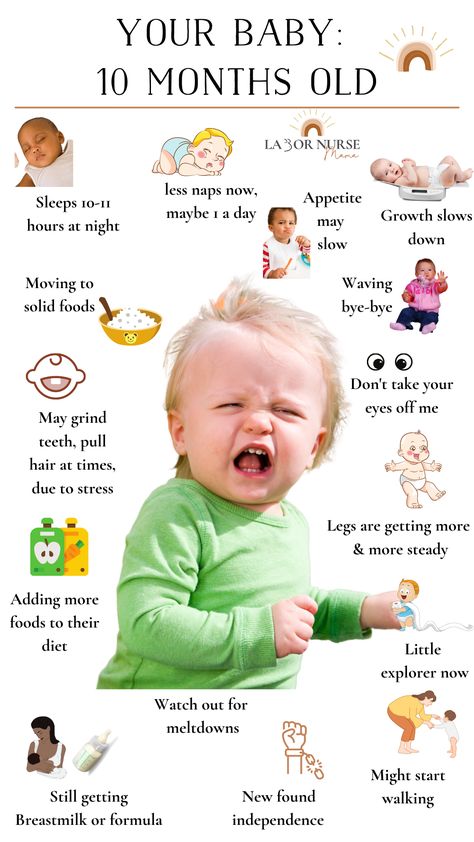 10 Months Old Activities, Activities For 10 Month Old Baby, Good For 11 Month Old, Newborn Facts, 10 Month Old Baby Activities, Taking Cara Babies 3 Month Schedule, Sample 3 Month Old Schedule, Sample 5 Month Old Schedule, Developmental Milestones 0-12 Months