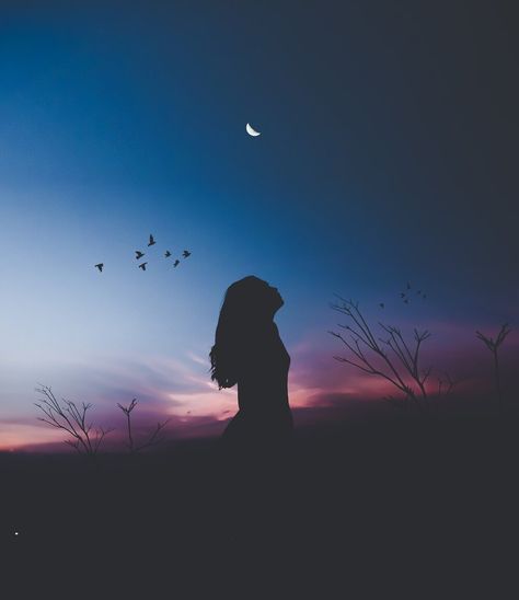 Silhouette Photography, At Night, The Sky, The Moon, Wattpad, Birds, Moon, Wallpapers, My Saves