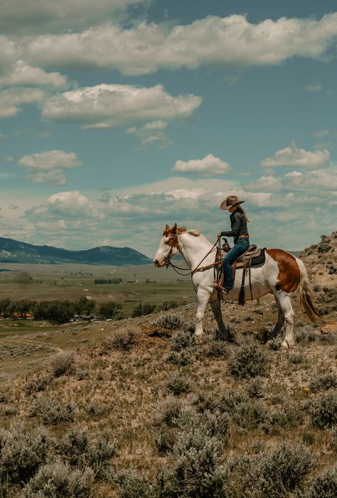 Buffalo Wyoming, Wyoming Ranch, Ranch Vacation, Western Photography, Cattle Ranching, Guest Ranch, Western Life, Western Riding, Patagonia Argentina