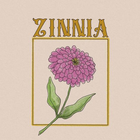 Prompt 26! Zinnias are probably the kind of flowers I'd love to have go wild in the garden. This year, other than foxgloves, a whole bunch of daisies sprouted too. I should get some seeds and scatter them around 😊 #drawsimpledaily #procreate #procreateillustration #zinnias Zinnia Drawing, Bunch Of Daisies, Drawing Simple, Go Wild, In The Garden, Sprouts, The Garden, This Year, Seeds