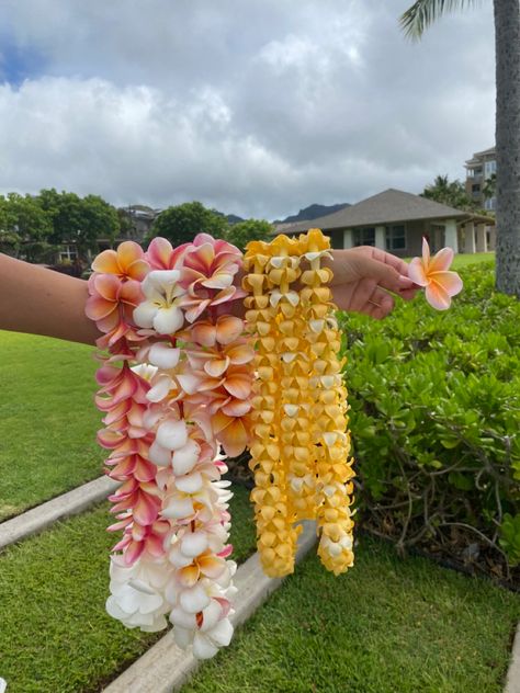 Hawaiian Astethic, Polynesian Aesthetic, Pua Flower, Senior Basket, Hawaiian Flower Arrangements, Lei Hawaii, Hawaii Lei, Hawaiian Girl, Hawaii Flowers