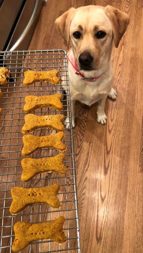 Pumpkin-Carrot Dog Treats | The Top Knot Kitchen Carrot Dog Treats, Carrot Dogs, Pet Treats Recipes, Easy Dog Treat Recipes, Dog Biscuits Homemade, Easy Dog Treats, Healthy Dog Treats Homemade, Pumpkin Dog Treats, Affiliate Products