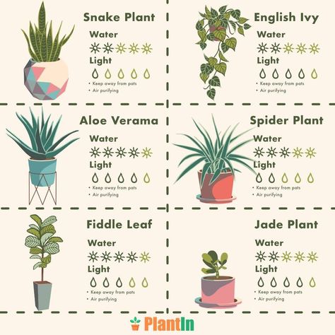 Plant Types Houseplant, Plant Families Chart, Plant Care Planner, Houseplant Guide, Plant Posters, Houseplant Journal, Identify Plants, Plant App, Lost Garden