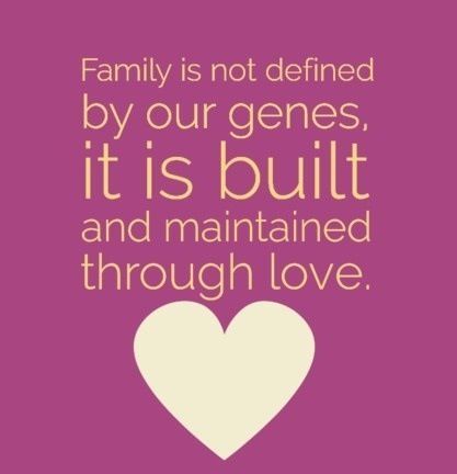 Defining Family. PS – I Don’t Hate You, I’m Too Busy Loving Someone I “Shouldn’t.” Sincerely, Acceptance Blended Family Quotes, Adoption Quotes, Open Adoption, Adoption Party, Parenting Classes, Thank You Quotes, Step Parenting, Blended Family, Step Kids