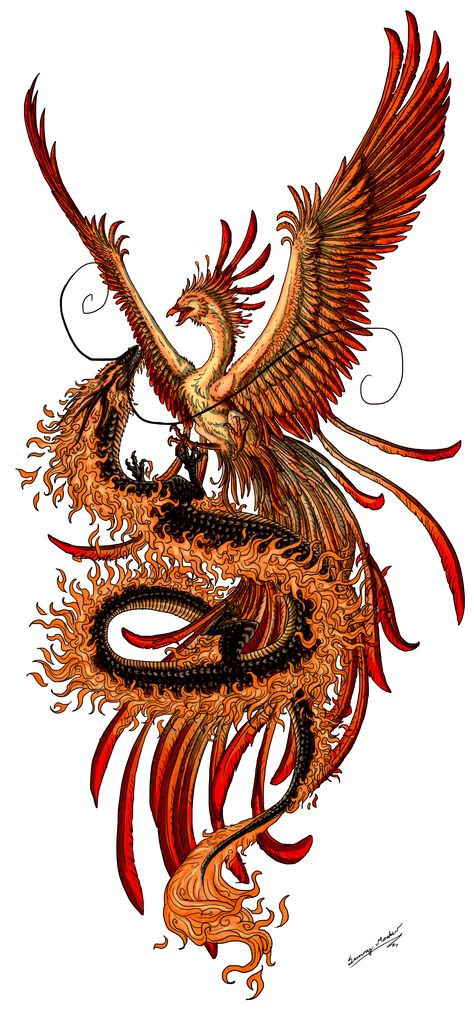 Phoenix and dragon by Sunimo.deviantart.com Dragon Phoenix Tattoo, Phoenix Tattoo Meaning, Tato Phoenix, Phoenix Drawing, Phoenix Artwork, Phoenix Dragon, Phönix Tattoo, Dragon Chino, Chinese Dragon Tattoos