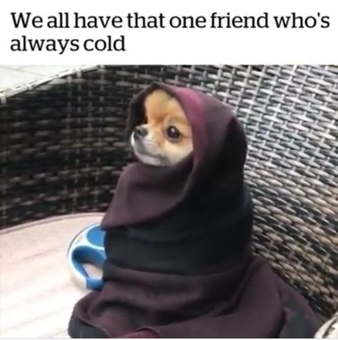 We all have that one friend who's always cold Cold Humor, Cold Jokes, Avengers Fan Art, Avengers Quotes, Avengers Pictures, Avengers Imagines, One Friend, Always Cold, Mom Memes