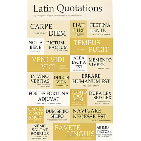 Latin Quotes Inspirational, Famous Latin Quotes, Best Latin Quotes, Learning Latin, Latin Tattoo, Roman Culture, Quotes Greek, Tattoo Quotes About Life, Latin Quotes