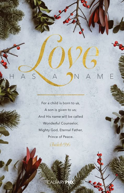 Christmas Greetings Messages, Christmas Verses, Christmas Scripture, Christmas Bible Verses, Wonderful Counselor, Christmas Bible, Quotes Christmas, Christmas Blessings, True Meaning Of Christmas