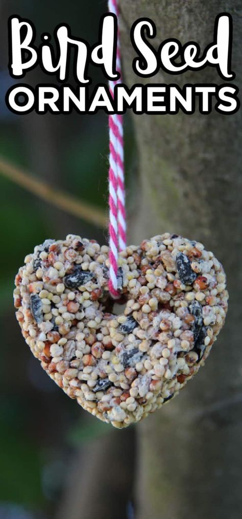 Heart Shaped Bird Seed Feeder, Girl Scout Valentines Day Craft, Cardinal Crafts For Kids, Diy Bird Seed Ornaments, Valentines Crafts For Preschoolers, February Craft Ideas, Valentines Craft For Kids, Bird Seed Crafts, Bird Valentines