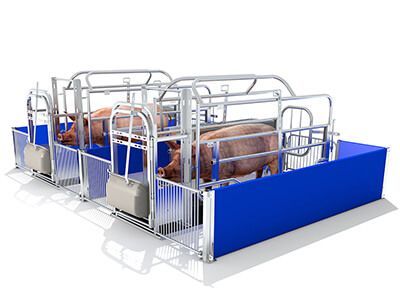 Farrowing Crate Pig Farrowing, Piglet House, Pig Feeder, Pigs Farm, Pig Farm, Pipe Welding, Pig House, Farming System, Farm Plans