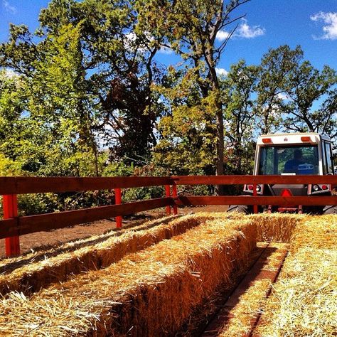 Hay Rides Aesthetic, Hay Ride Aesthetic, Hayride Aesthetic, Harvest Festival Activities, Hay Ride Ideas, Outdoor Bonfire, Orchard Ideas, Fall Harvest Festival, Couple's Costume