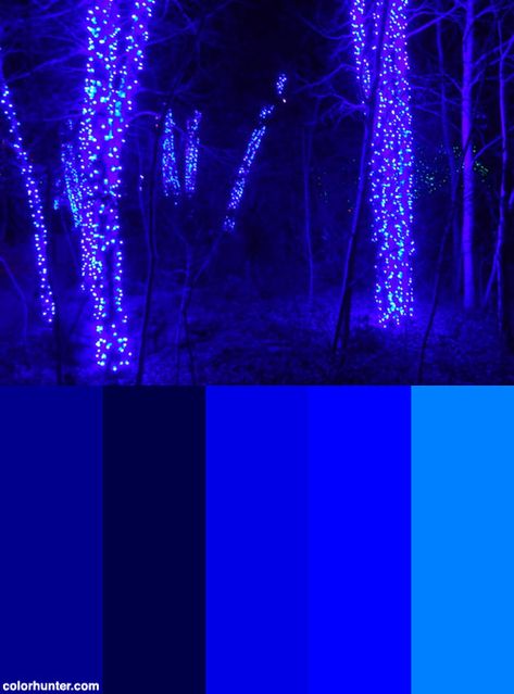 Fairy Forest 2 Color Scheme from colorhunter.com 2 Color Palette, Fairy Forest, Color Palette Inspiration, Palette Inspiration, Blue Colour Palette, Forest Fairy, Underworld, Colour Palette, 2 Colours