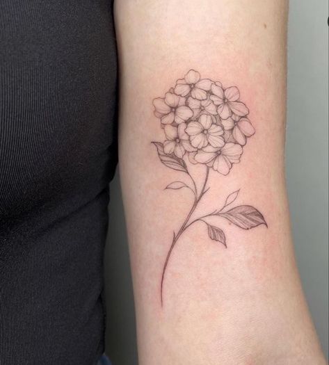 Hydrangea Tattoo Bouquet, Dainty Hydrangea Tattoo, White Hydrangea Tattoo, Blue Hydrangea Tattoo, Hydrangeas Tattoo, Hydrangea Drawing, Geranium Tattoo, Small Diamond Tattoo, Brown Tattoo Ink