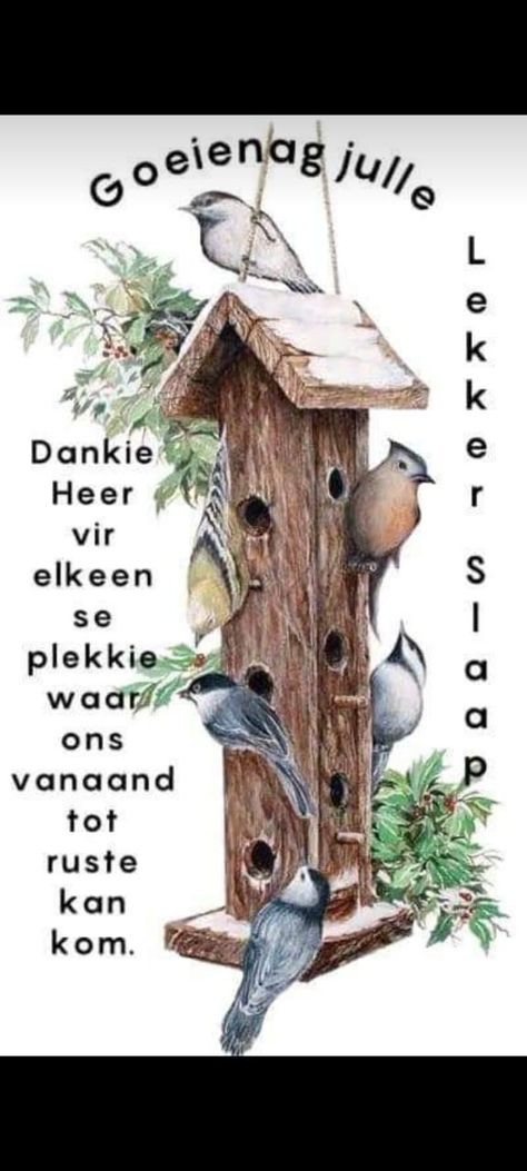 Nagse Boodskappies, Nagsê Boodskappies, Good Morning Messages Friends, Goodnight Wishes, Good Morning Christmas, Good Night Prayer Quotes, Lekker Slaap, Good Morning Beautiful Gif, Frog Pictures