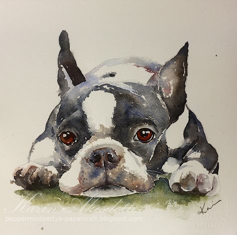 Peppermint Patty's Papercraft: Watercolor Boston Terrier Boston Terrier Sketch, How To Paint A Boston Terrier, Cute Boston Terrier Drawing, Watercolor Boston Terrier, Boston Terrier Art Watercolor Painting, Boston Terrier Painting, Boston Terrier Clip Art, Boston Terrier Illustration, Boston Terrier Art