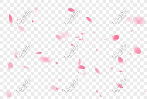 Flower Falling, Falling Petals, Romantic Flowers, Free Picture, Fall Flowers, Free Pictures, Cherry Blossom, Blossom, Free Download