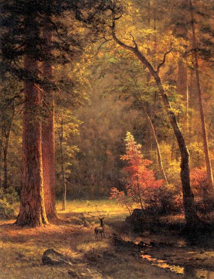 HRSOA AlbertBierstadt-Dogwood - Albert Bierstadt - Wikimedia Commons Albert Bierstadt Paintings, Carl Spitzweg, Albert Bierstadt, Hudson River School, School Painting, Woodland Forest, Forest Painting, Autumn Painting, Painting Reproductions