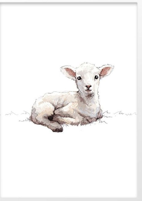 Sheep And Lamb Drawing, Watercolor Lamb Painting, Lamb In Field, Lamb Tattoo Cute, Lamb Face Drawing, Lamb Lying Down, Lamb Laying Down Drawing, Lamb Sketch Drawing, Lamb Painting Easy