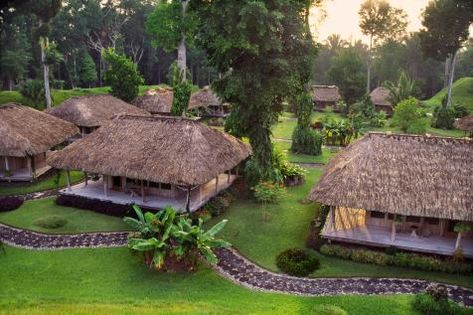 Belize's 10 Best Jungle Lodges : Belize : Travel Channel | Belize Destination Guide - Central America - Travel Channel | Travel Channel Lodge Design Architecture, Lodges Design, Hotel Room Design Plan, Resort Design Plan, Jungle Resort, Lodge Design, Hut House, Belize Resorts, Natural Swimming Ponds