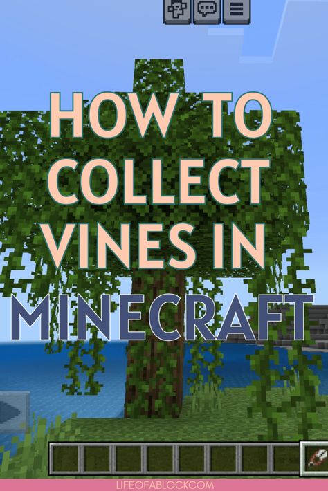 Promotional graphic ON How to Collect Vines in Minecraft for a guide on collecting vines in the game Minecraft, with the text 'How to Collect Vines in Minecraft' overlaid on a game screenshot featuring trees, vines, and a blue sky. The website 'LIFEOFABLOCK.COM' is mentioned at the bottom Jungle Temple, Jungle Tree, Crafting Recipes, How To Play Minecraft, Unique Plants, Adventure Awaits, The Game, Blue Sky, Ivy