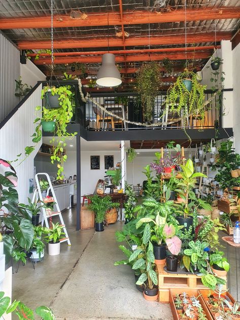 Green House Cafe Coffee Shop, Plant Shop Cafe, Plant And Coffee Shop, Coffee And Plant Shop, Plant Shop Design, Plants Coffee Shop, Plant Coffee Shop, Coffee Shop Plants, Green Coffee Shop