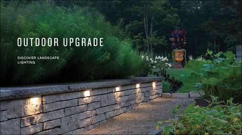 If you are looking for Rock Wall lighting products in Northern Virginia, then contact us now. We have wide selection of hardscape and rock wall lighting. For more information, Call us today! Pathway Lighting Ideas, Wall With Lights, Retaining Wall Lighting, Hardscape Lighting, Backyard Retaining Walls, Garden Lighting Design, Retaining Wall Ideas, Walkway Lighting, Landscape Lighting Design