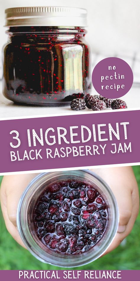 Wild Black Raspberry Jam, Black Cap Jam, Black Raspberry Syrup, Black Raspberry Canning Recipes, Blackberry Raspberry Jam, Blackcap Raspberry Recipes, Black Raspberry Freezer Jam Recipe, Canning Raspberry Jam, Black Raspberry Jelly Recipe