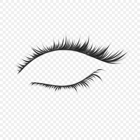 Eyelash Png, Eyelashes Png, Eid Background, White Eyelashes, Short Lashes, Black Png, Blank Background, India Facts, Simple Eye